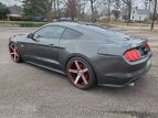 Thumbnail Photo 14 for 2015 Ford Mustang GT Premium